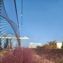 광주 국립아시아문화전당 단풍 이미지