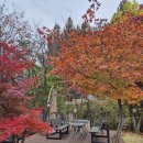 더/어반그레이로스터리 | 별내맛집) 남양주 브런치 디저트 맛집 루프탑 숲뷰 별내카페 이구동성로스터리카페 시식 후기