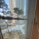 장위34 | 성북구 장위동 장위자이 레디언트 34평 입주청소 후기