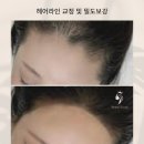선인라인