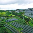 신화 태양광발전소 이미지