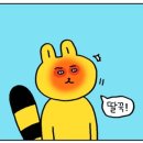 코리엔탈깻잎치킨 이미지