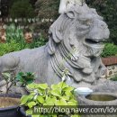 포천표구사 이미지