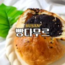 자생한방병원 앞(장산역 14번출구 앞) | 부산 해운대 현지인 추천 단팥빵 명물맛집 빵다무르 투머치팥빵 아이들간식 빵지순례 추천