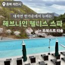 [충북/제천] 포레스트 리솜 &#39;해브나인스파&#39;/ 스톤스파 예약 이용방법 / 서울 근교 스파 리조트 추천