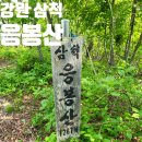 강원 삼척 강원대학교 도계캠퍼스 응봉산 육백산 등산 최단 코스 주차