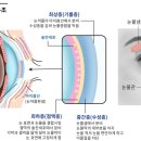 정진한의원 네이버블로그