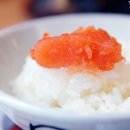 스시센 이미지