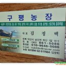 모실농장 네이버블로그