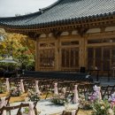섬꽃로망