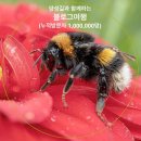 02-4 그림책 심리상담사 과정 이미지