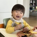이도 이미지