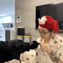 신명툴 | 2월 일상