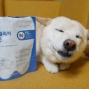 더셀주 이미지