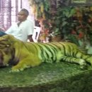 다정농장 이미지