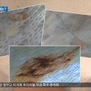 세탁천국 이미지