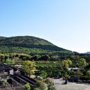 메이즈랜드 이미지