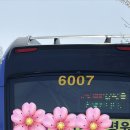 부두주차장버스승강장 | 2026 진해군항제 마지막 코스 해군사관학교 버스 투어 11부두와 벚꽃 유람버스로 구경