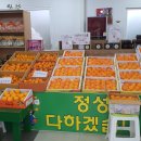 제주237농업회사법인
