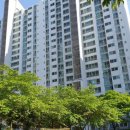 보라하나치과의원 이미지