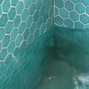 풀바다 | 강릉 키즈풀빌라 치즈바다 후기 내돈내산 비추천