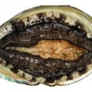 전가복(全家福) 이미지