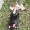 스테이결 이미지