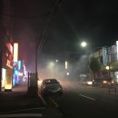 새치&꺼믄머리