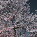 정각사입구 이미지