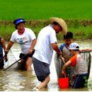 부평2리 이미지