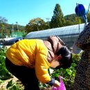 윤우농장 이미지