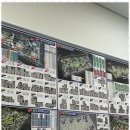 송도대방공인중개사사무소 이미지