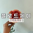옥계우리유치원 | 구미 옥계 산동 꽃집 플로드제이, 예쁘고 싱싱한 졸업식 꽃다발 선물 추천 🎶🖤