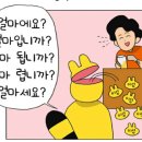 에이스아웃도어