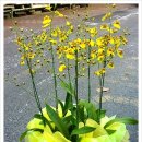 승진모터스 이미지