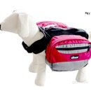 코디애견샵 이미지