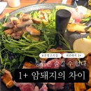 진영슈퍼(등2) | 진영고기집 일행 진영점 솥뚜껑암돼지 1+ 실속세트 미나리 조합 후기