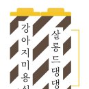 살롱드 댕댕 네이버블로그