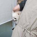 몽앤뭉 이미지
