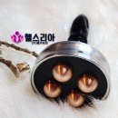 (주)로이디자인 이미지