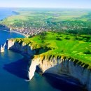 주남오리알 이미지