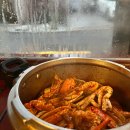 사랑한개너양 이미지