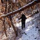 추월산이보이는집 이미지