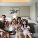 차오차오 이미지