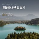 류블랴나 반달살기 실거주 정보 총정리 — 아는 사람만 아는 유럽 거점, 숙소·교통·생활비 (2026년 기준)