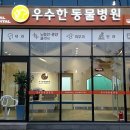 삼화 우수한동물병원 이미지