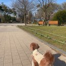 마두공원 | [후기]밤리단길 일산 언티크 마두공원 유유샤브