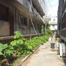 작전시장 이미지