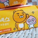 라이언클린 이미지