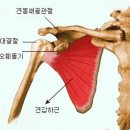 프리덤휘트니스 이미지